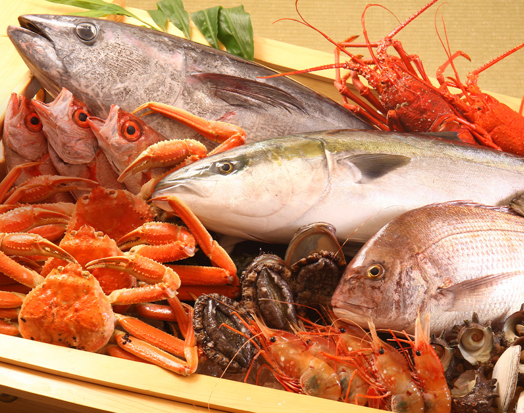 魚集合